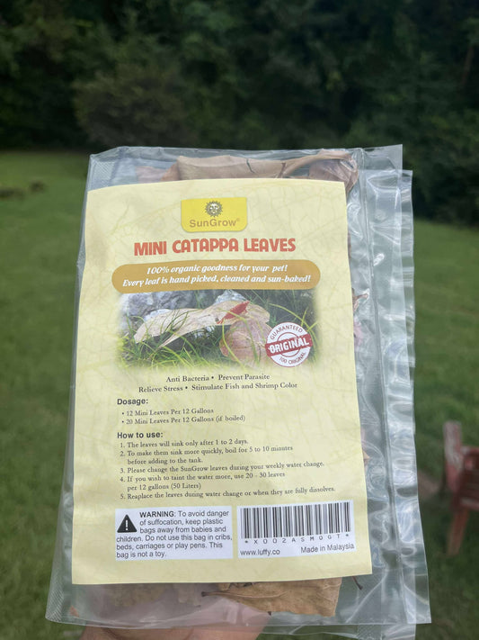 Mini Indian Almond Leaves (Catappa) – Naturally Supportive Aquarium Care